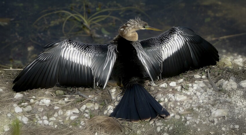 Fotomaker_Test-UnrelentImageREV-post