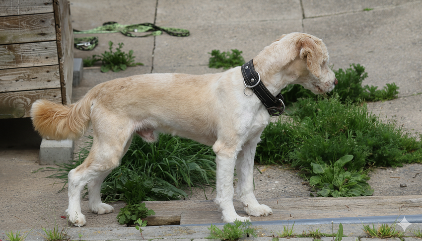 Generated Image November 09, 2025 - 8_03PM