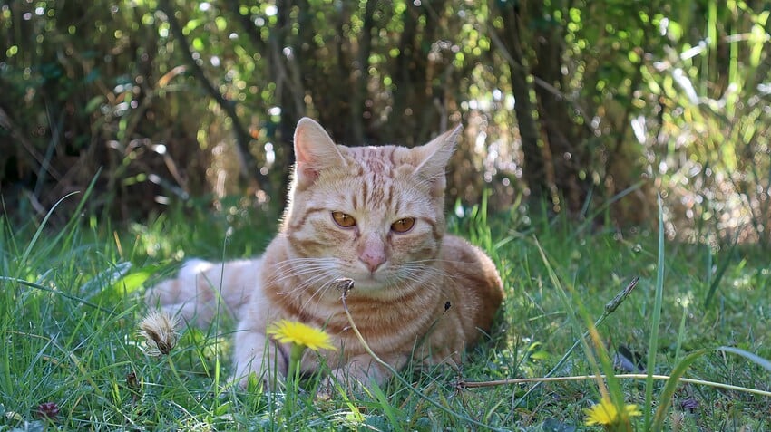 IMG_3140-topaz-wonder