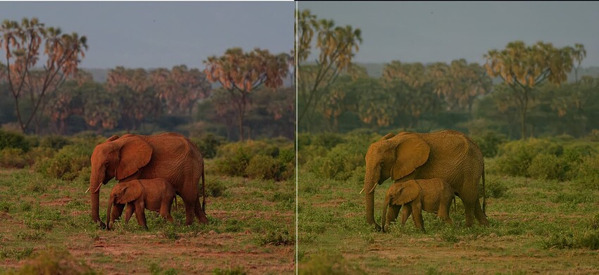 Topaz_Photo_AI_nyNvIZCkyG