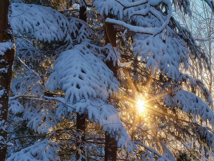 _56A2051-DP3_2-DP3_3-DP3_4-DP3_5-DP3_Compressor-2