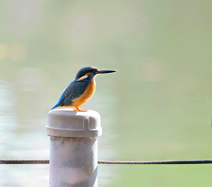 G9tWcN4bIAAf9JM-gigapixel-recover v2-2x