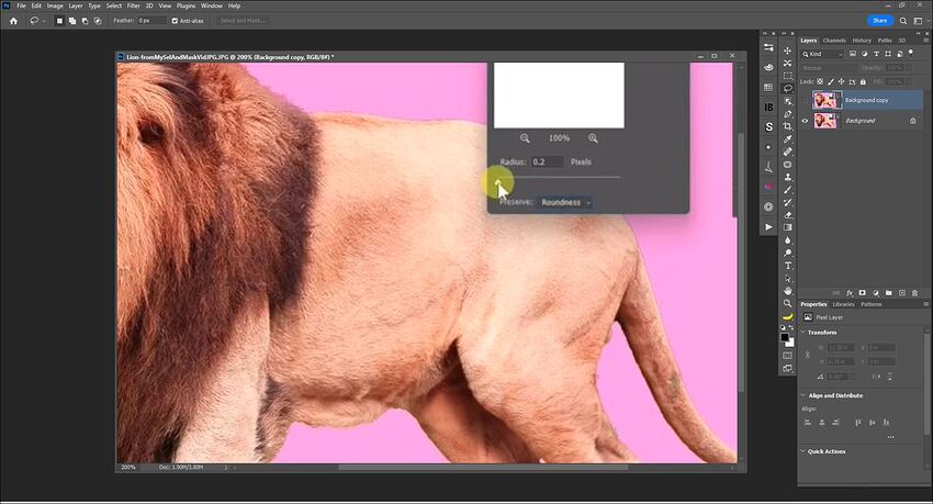 Fotomaker_LionImage-forYouTubeChannelLayout