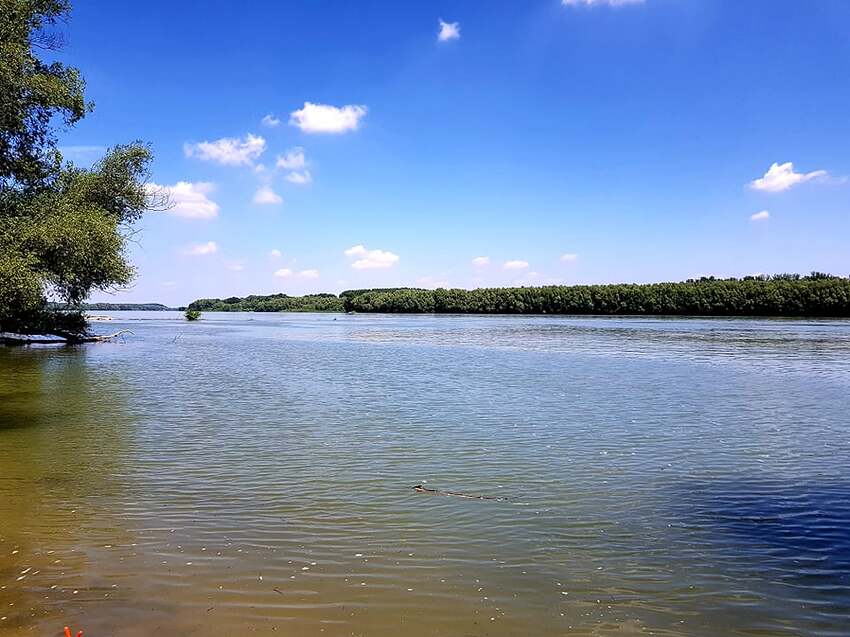 204450226_347030240360715_8877226376527049296_n