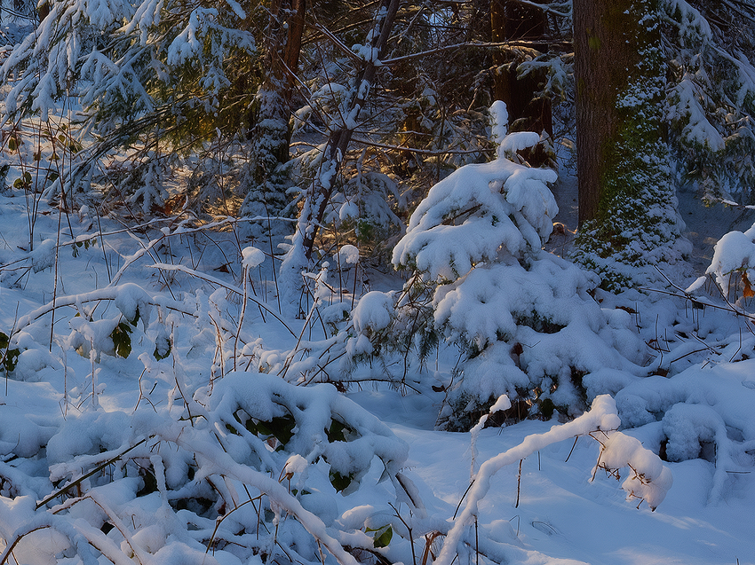 _56A2051-DP3_2-DP3_3-DP3_4-DP3_5-DP3_Compressor-3