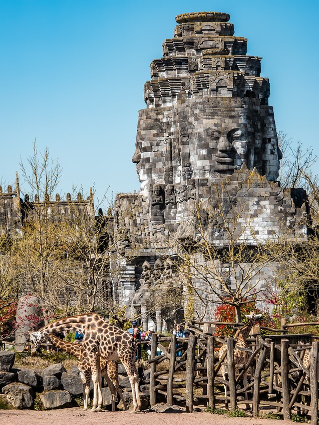 20250411_130313-2-Modifier