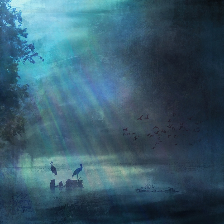 a%20kidd%20bridge%20with%20birds%20and%20textures%20multiply%20TE1