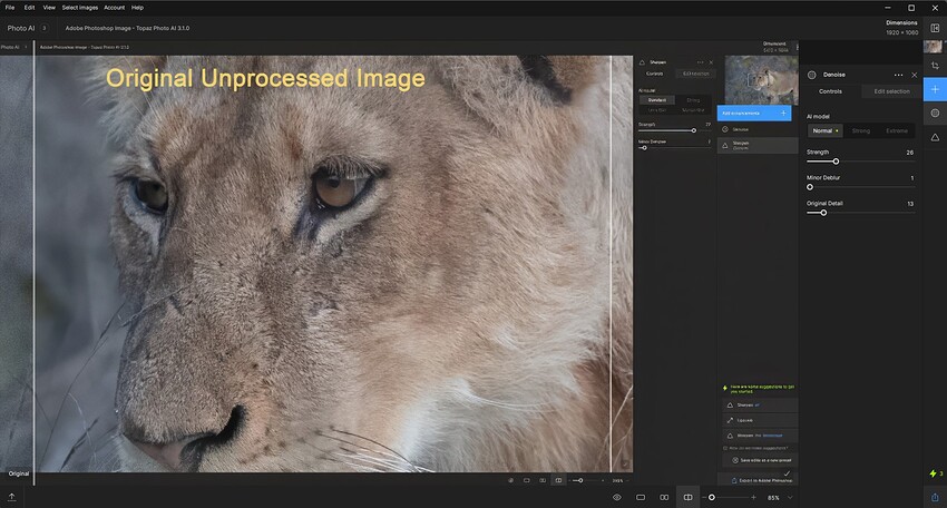 Denoise-Step1-WithSettingsUsed