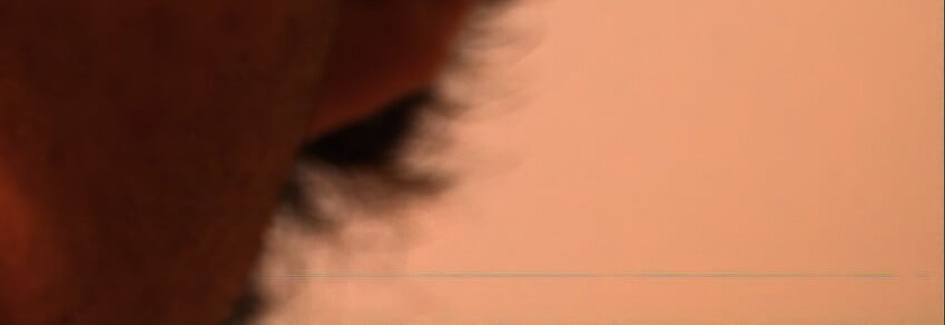 Topaz Photo AI Subject Artifacts