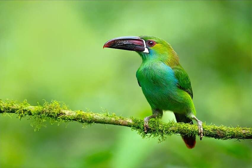 Zrzut ekranu 2025-08-27 144443 2ab gaussian33point2px