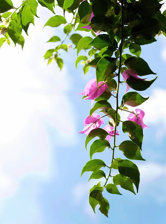 G5HFqaBbIAA5Ae7-gigapixel-recover v3 low settings-2x