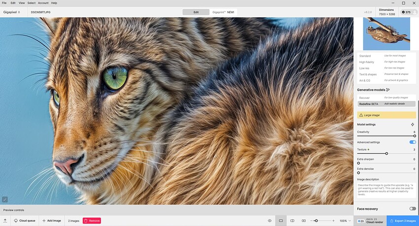 Screenshot 2025-02-10 at 2.32.03 PM