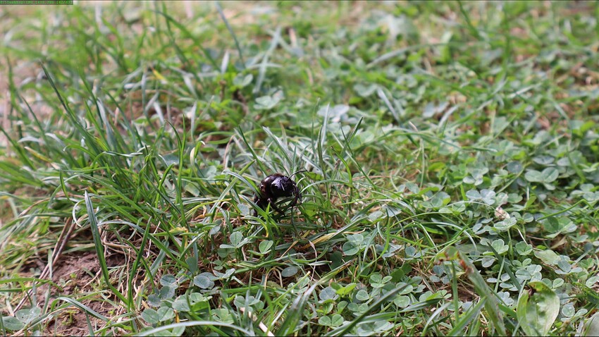 {6AB9B4D7-D4FB-4818-A714-DF0A88099BAB}