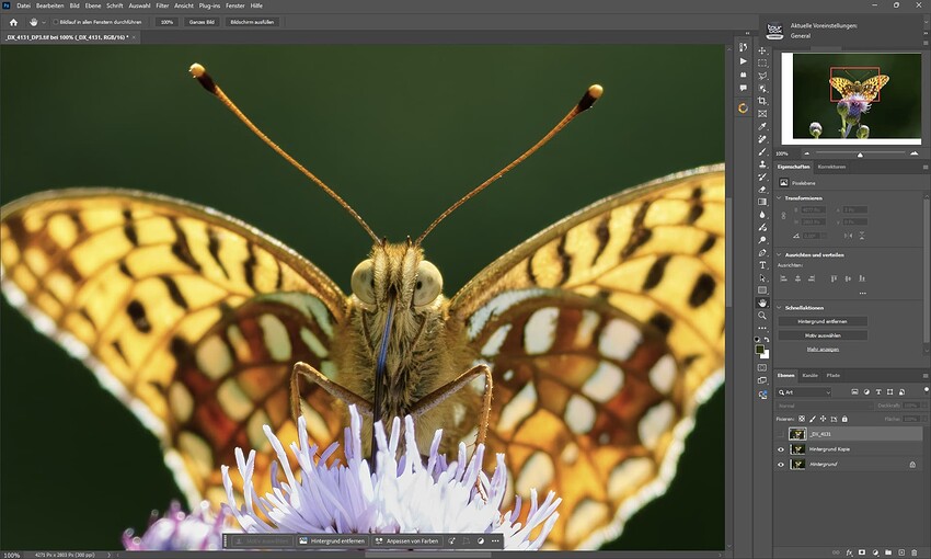 Screenshot 2025-05-20 225330