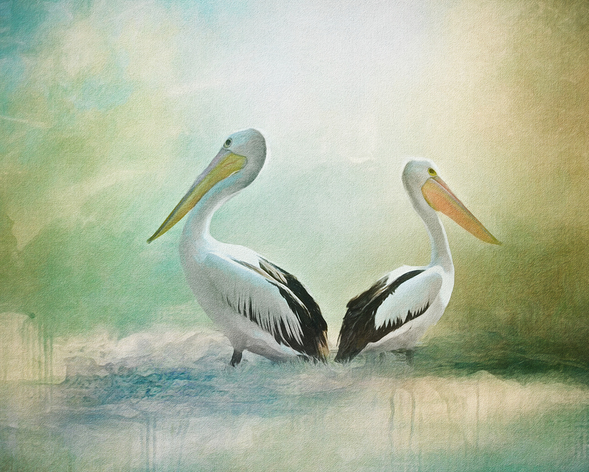 a%20Pelican%20Standoff%20softpainted%20embossed