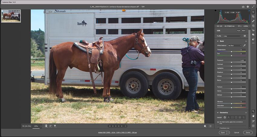 Fotomaker_PAIdot10dot1_W11Standalone-CR2image-SavedTIFF-AppearanceInPsACR