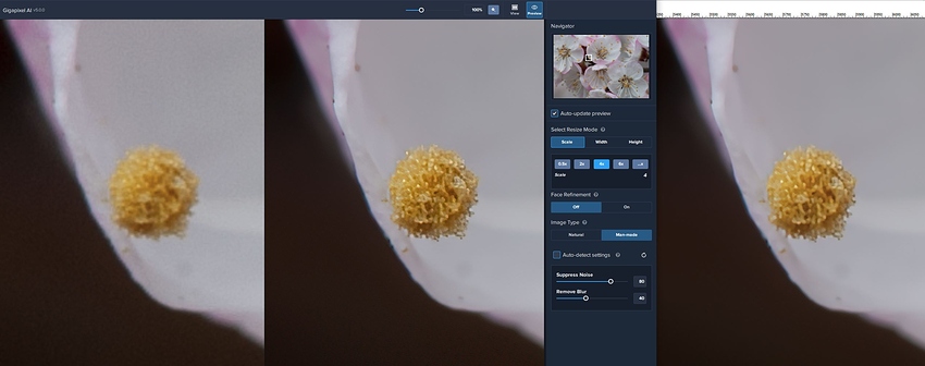 DSC_5968_Sample_Capture