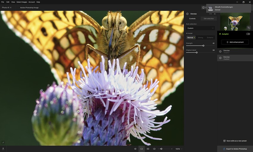 Screenshot 2025-05-21 083938