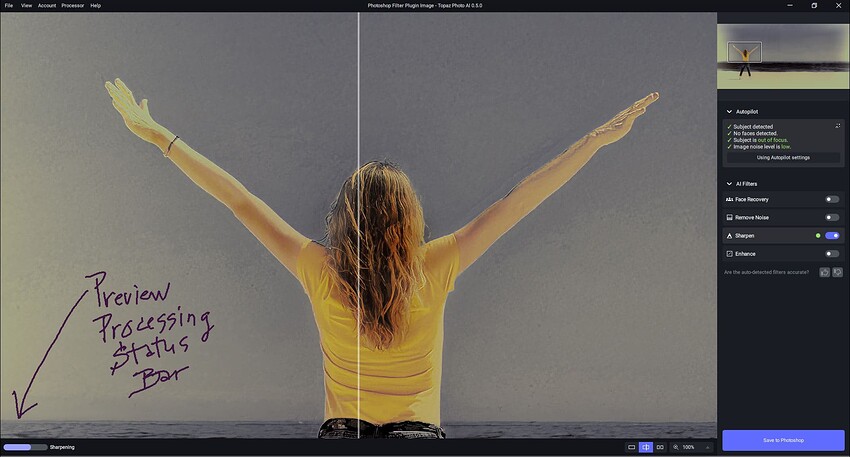 Fotomaker_PAIdot5-PsPlugin_ProcessingPreview-StatusBar