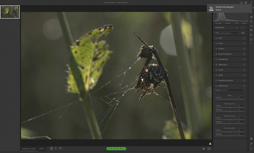 Screenshot 2026-01-07 211314