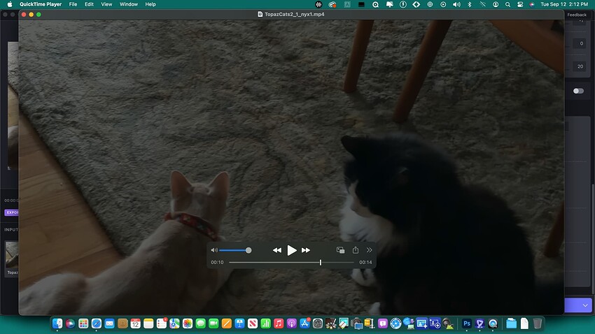 Screenshot 2023-09-12 at 2.12.11 PM