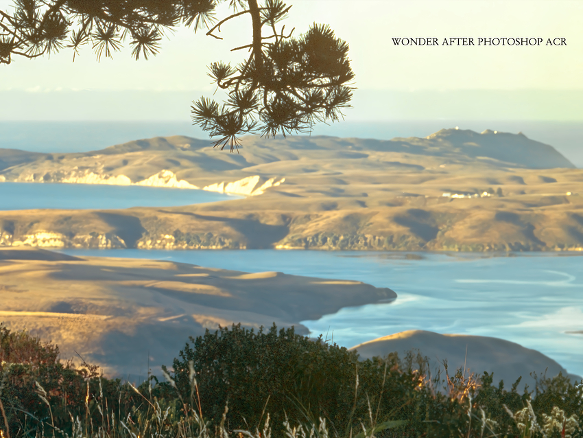 WONDER AFTER PHOTOSHOP ACR