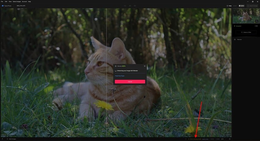 Clipboard_09-22-2025_02