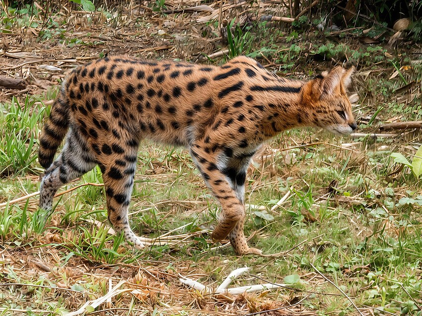 image small-redefine-realistic-and-recover-8x