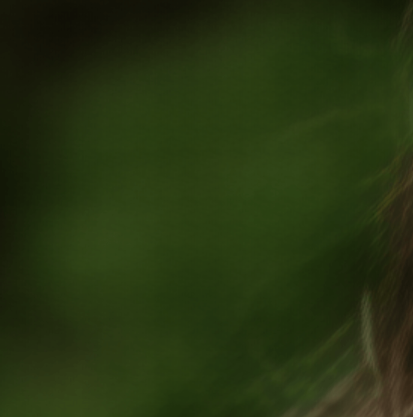 Screenshot%202020-09-11%20213329