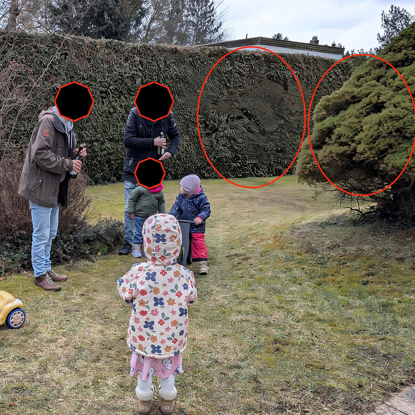 PXL_20260214_124308002-topaz-denoise-face