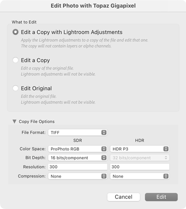 Edit Photo with Topaz Gigapixel