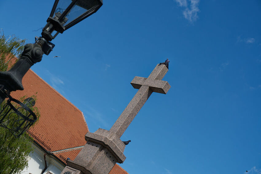 Honeyview__DSC6793_DxO