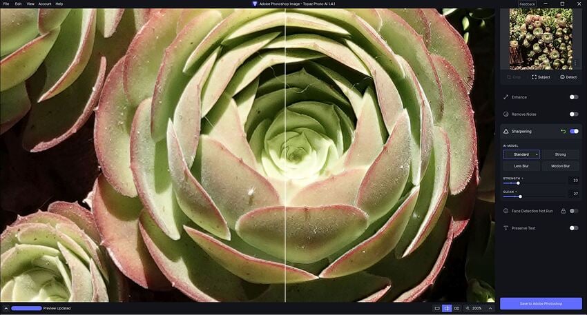 Fotomaker_PAI141commercial-PsPluginW11_ArtifactsAndInadequateSharpen