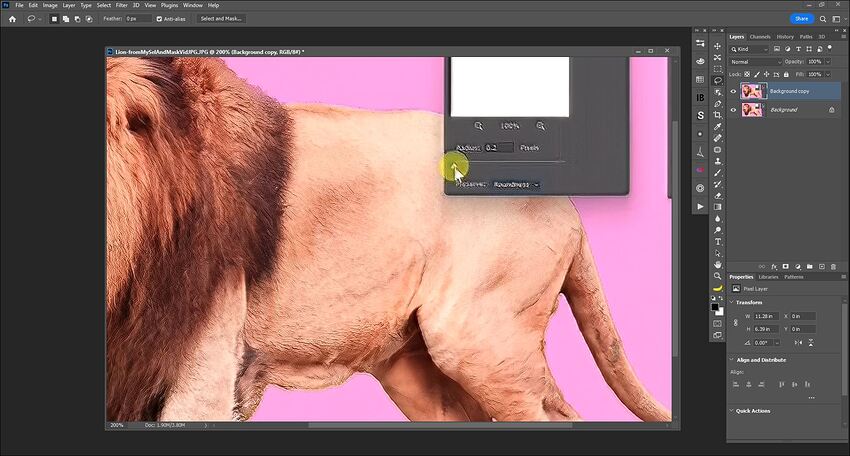 Fotomaker_LionImage-AFTER-PAI-PluginProcessing-WeirdTextureOnLion_TextDestroyed