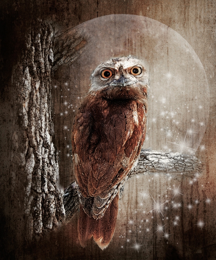 tawny%20moon%20stars%20eyes%20fadedmoody