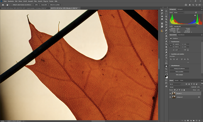 Screenshot 2026-01-22 210747