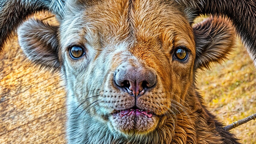 Screenshot 2024-11-21 at 6.30.35 PM