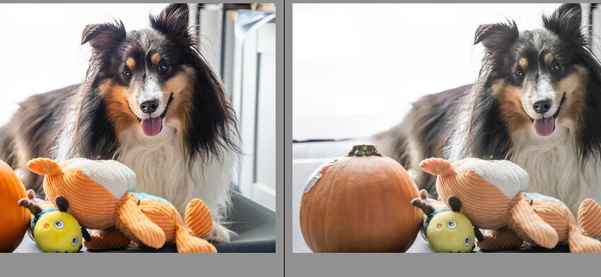 Screenshot 2023-10-22 at 3.51.56 PM