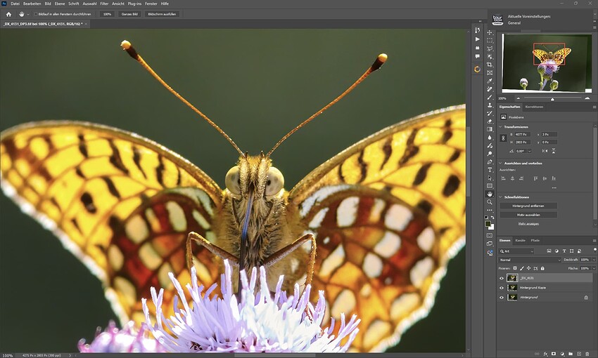 Screenshot 2025-05-20 225338