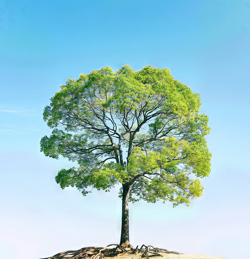 GurPqUlXkAARY-d-gigapixel-recover v2-2x