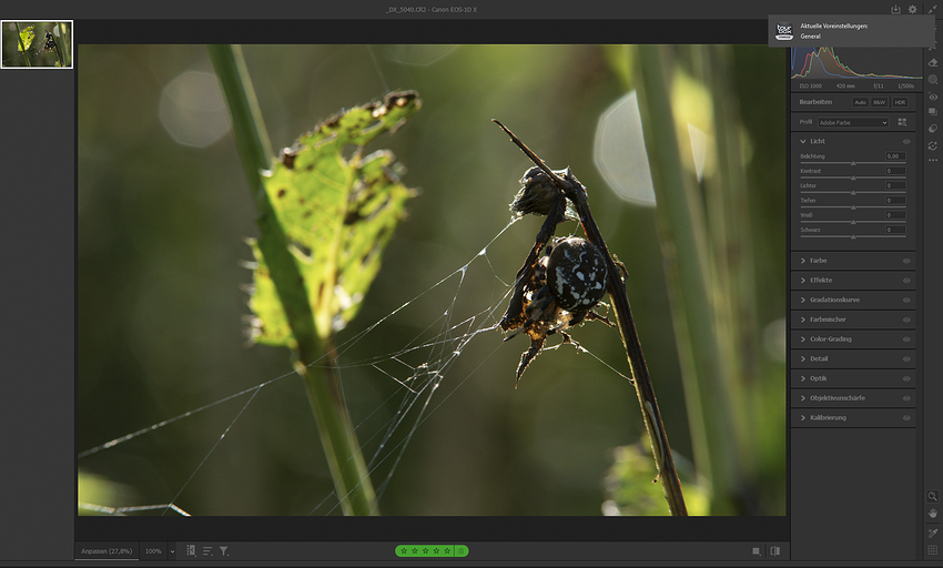 Screenshot 2026-01-07 210620