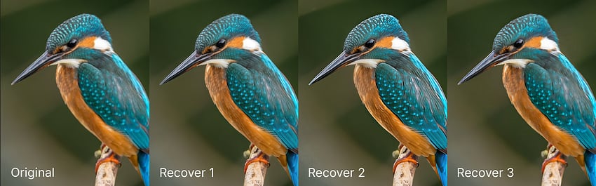 Recover 3 Comparison