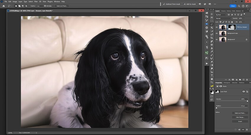 Fotomaker_PAI331_After-PlusPsLayerMasking