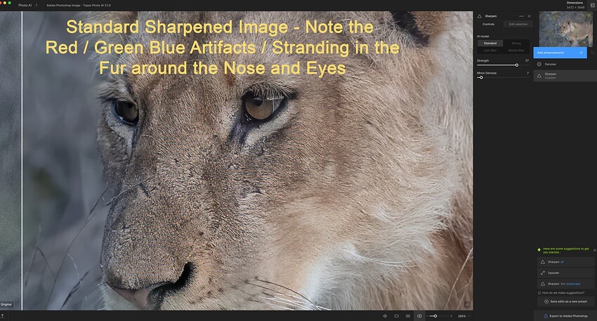 Screenshot 2024-07-13 Photo AI Standard Sharpened