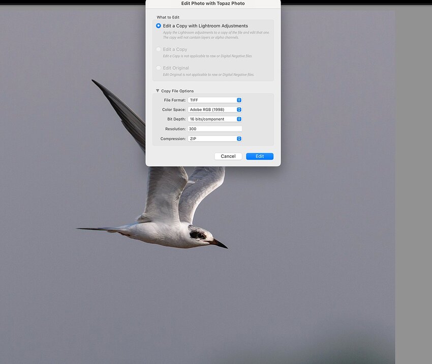 Screenshot 2026-02-28 at 9.15.32 PM