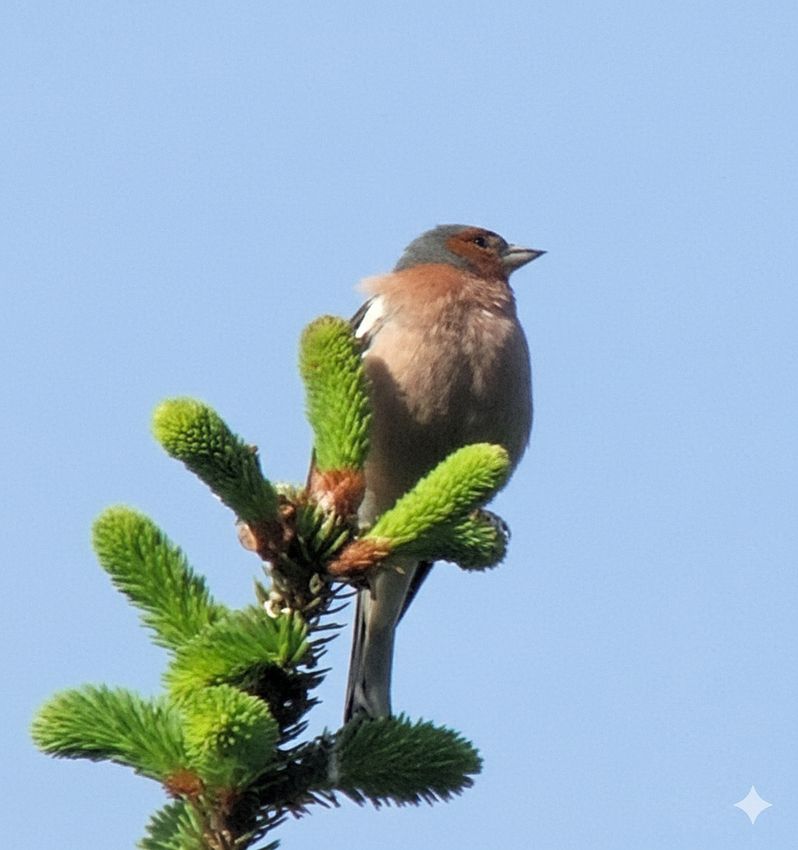 Gemini_Generated_Image_ze4e7sze4e7sze4e