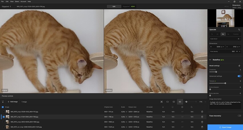 Clipboard_04-20-2025_01_Cat