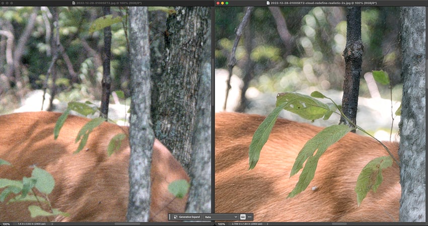 Screenshot 2026-01-24 at 11.41.50 AM