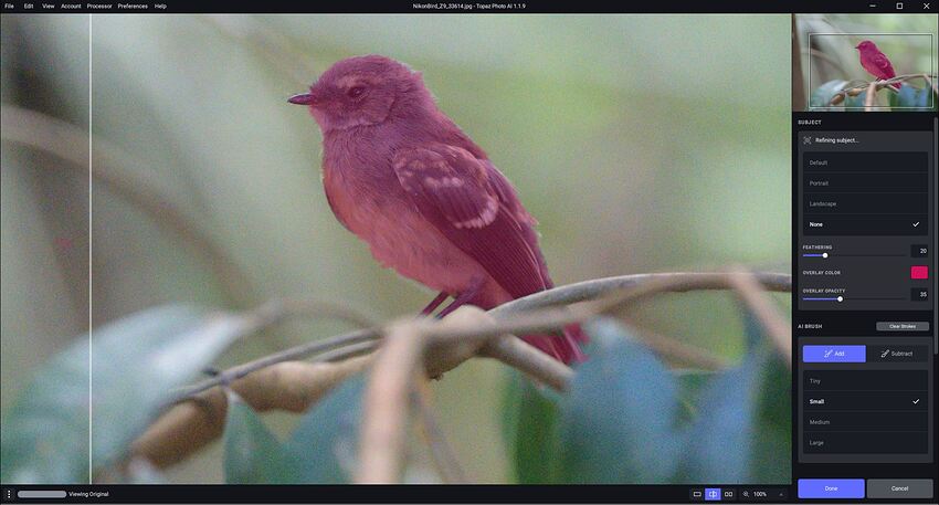 Fotomaker-BirdMaskedInRed_ToCreateSubjToSharpen