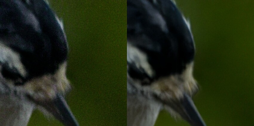 RAW denoise comparison (1)